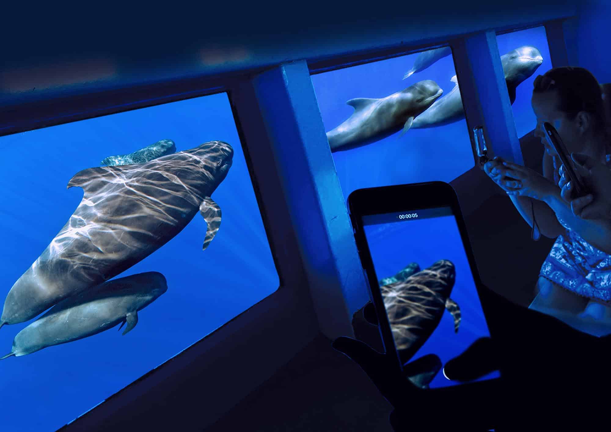 Royal Delfín Underwater Stations