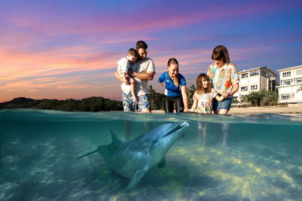 Dolphin Feeding Jetty