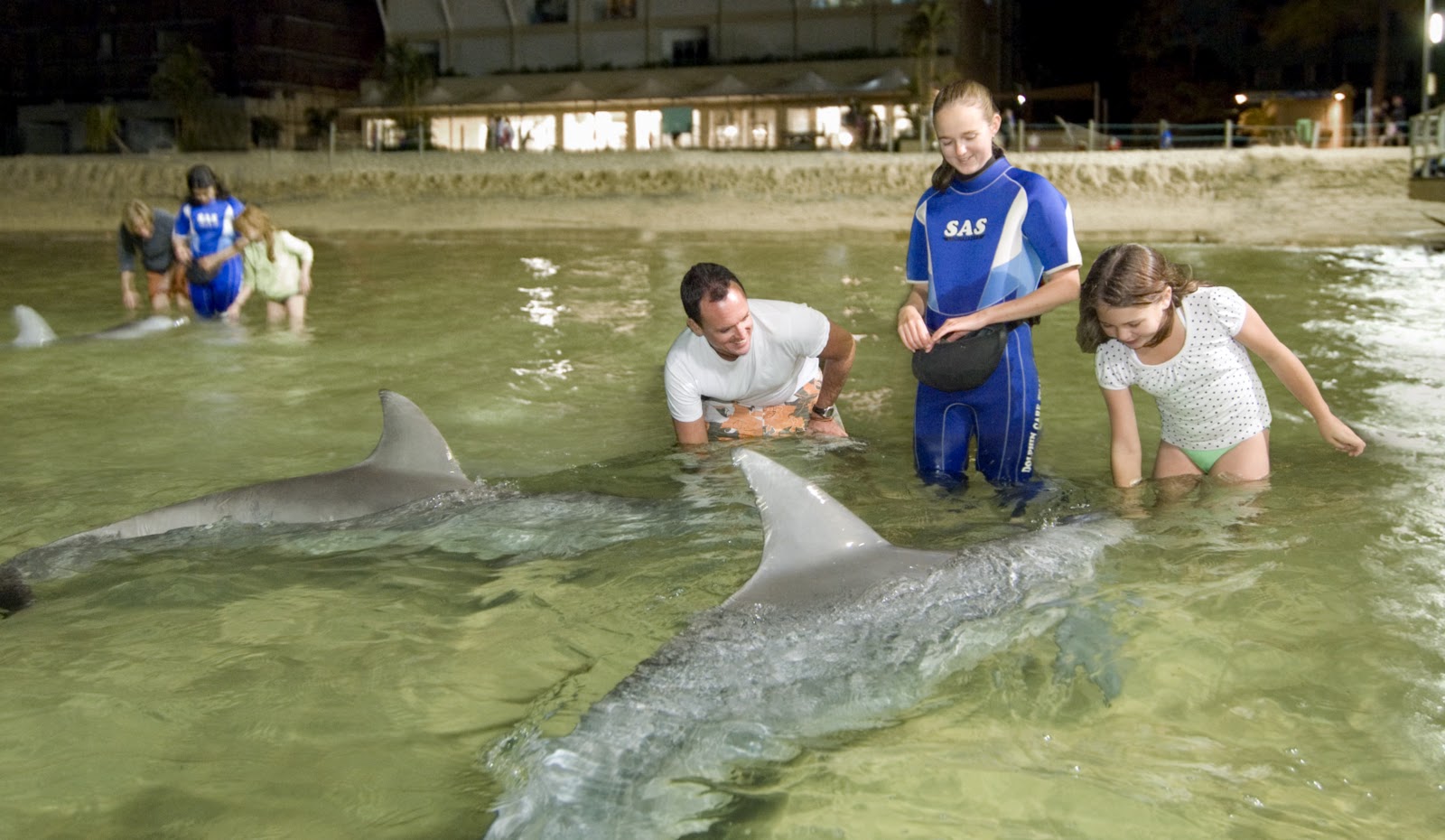 Tangalooma Dolphin Feeding Site