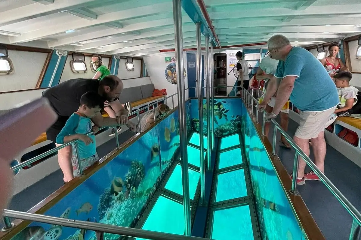 Glass-Bottom Observation Deck