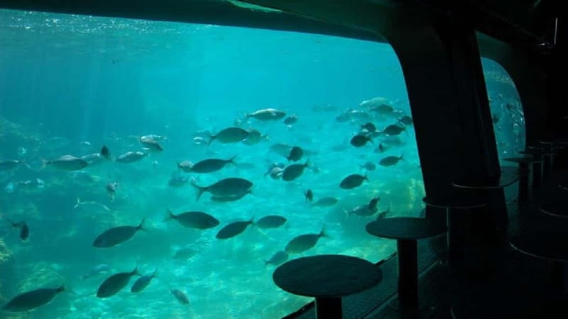 Marine Observatory