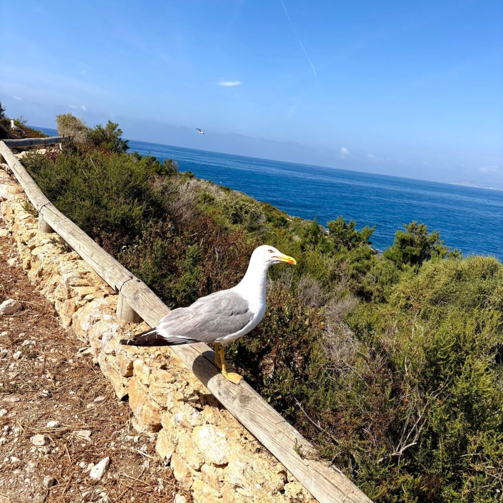 Bird Sanctuary Area