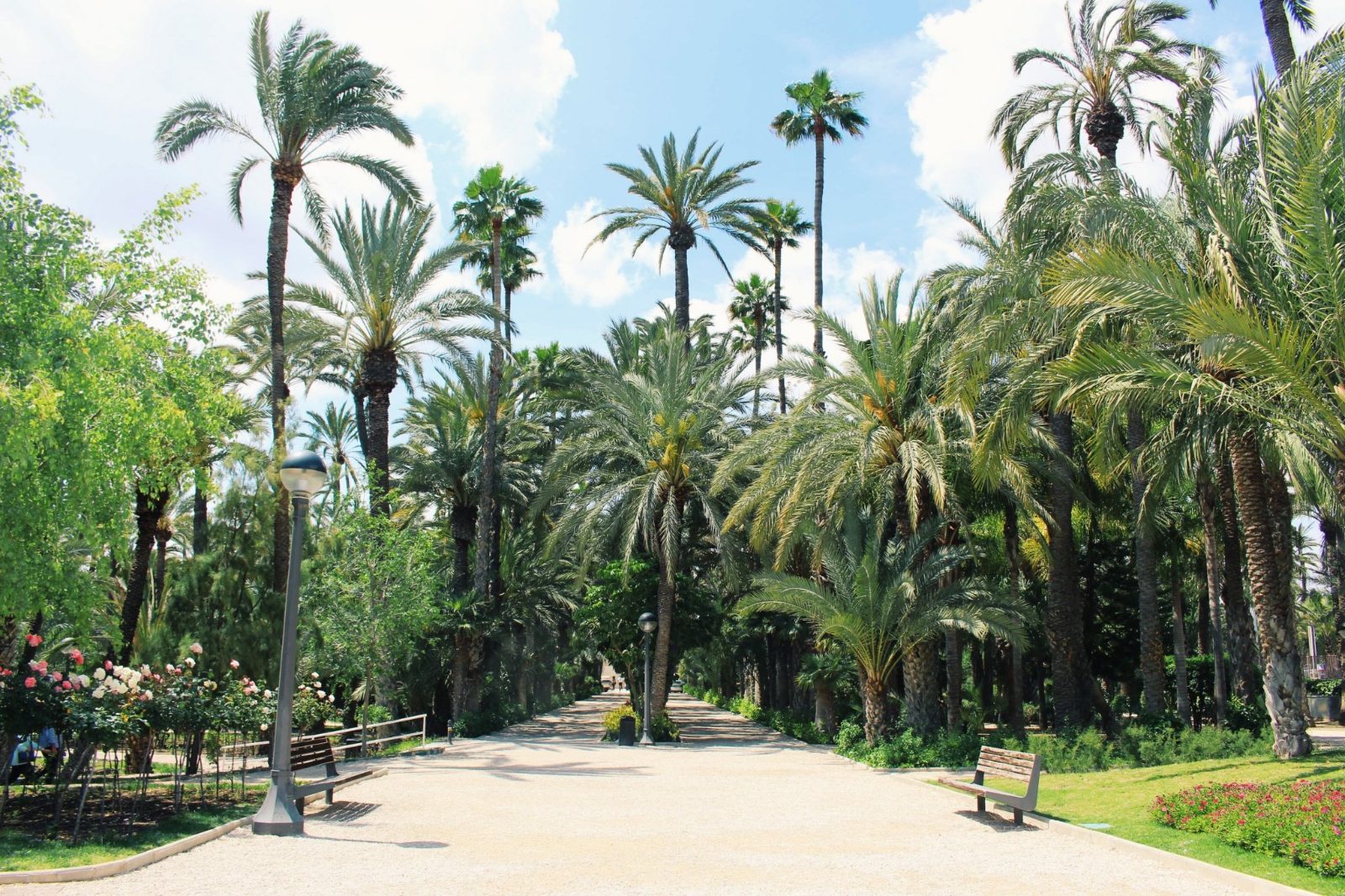 Elche Park