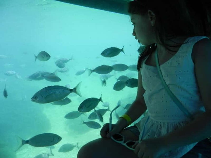 Benidorm Island Underwater Observation Deck