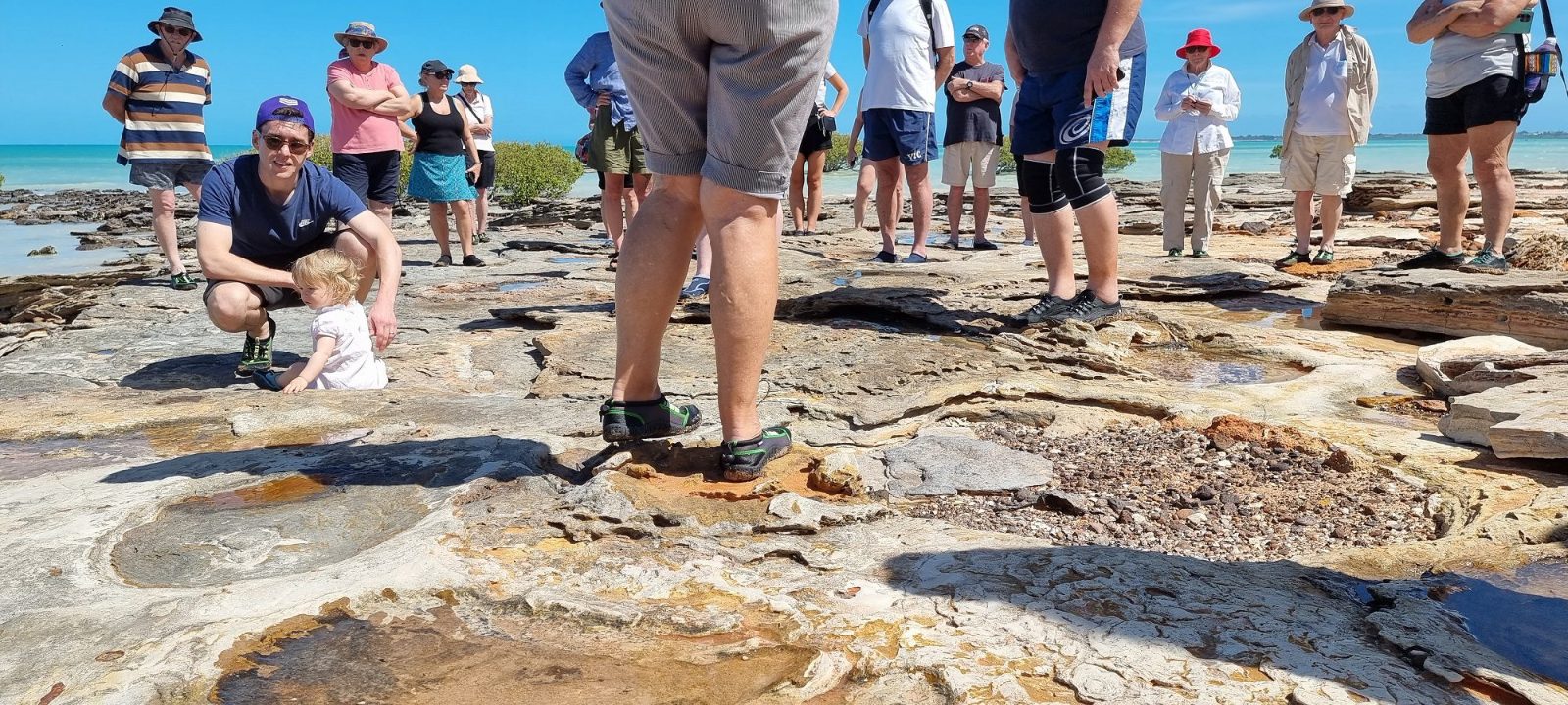 Dinosaur Boat Tour Broome