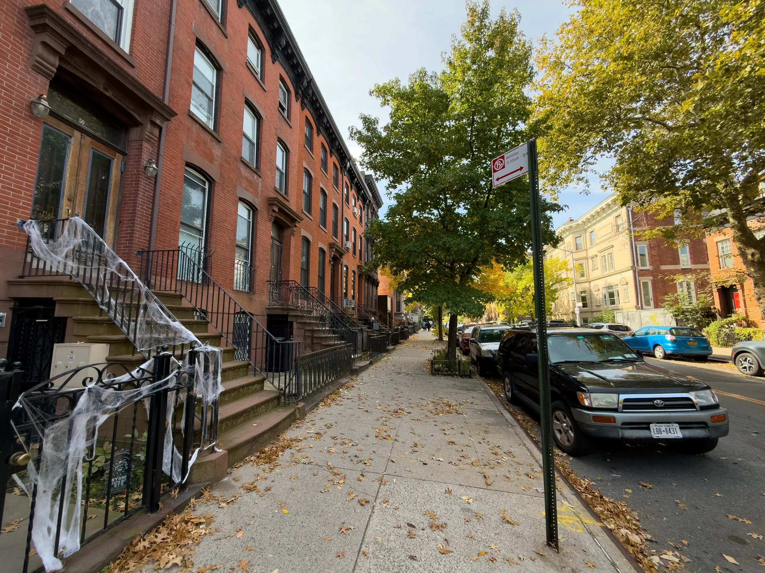 Brooklyn Neighborhood Streets