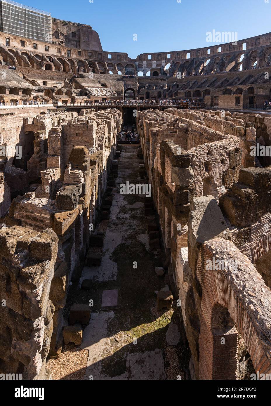 Guided Colosseum Exploration