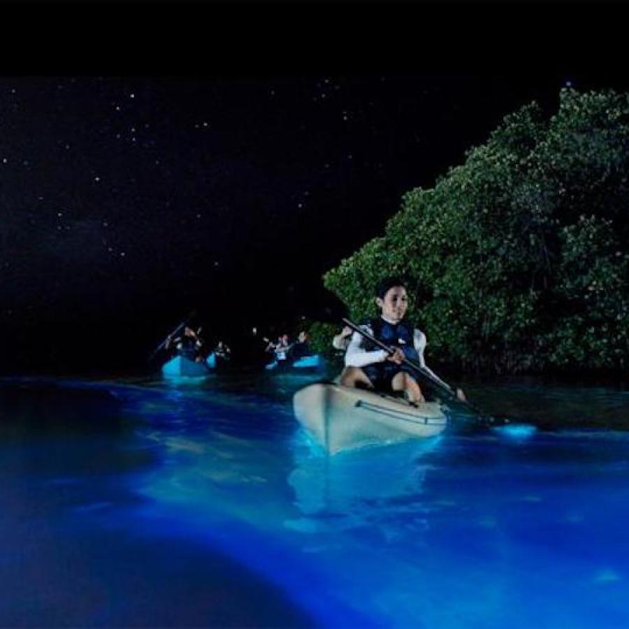 Kayaking Puerto Rico Snorkeling & Bio Bay Tours