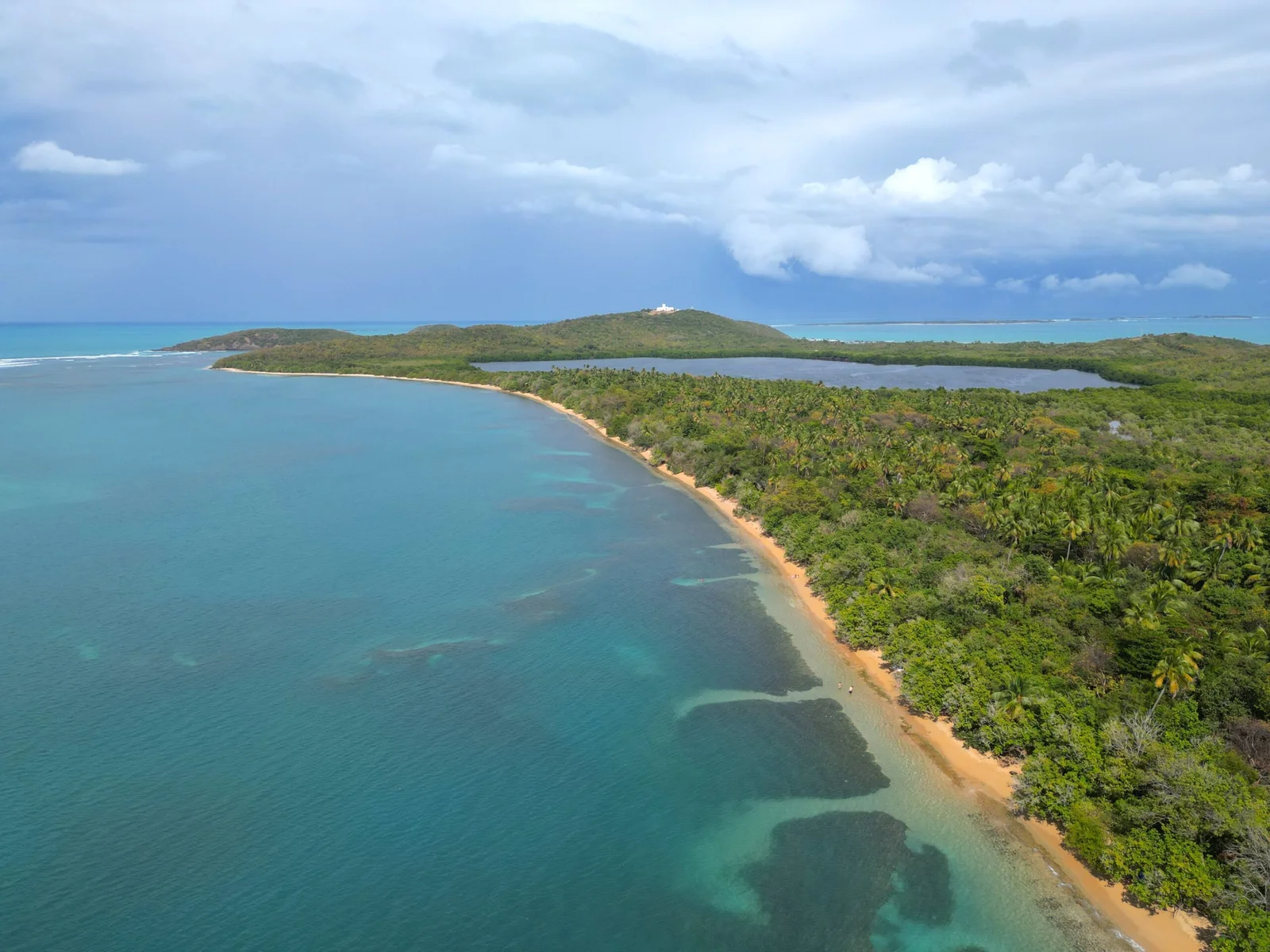 Seven Seas Beach Shoreline