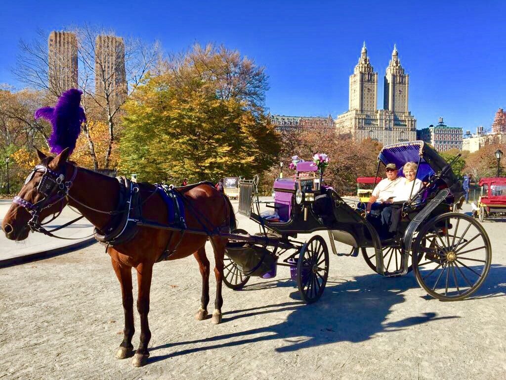 Carriage Ride in Central Park Nyc