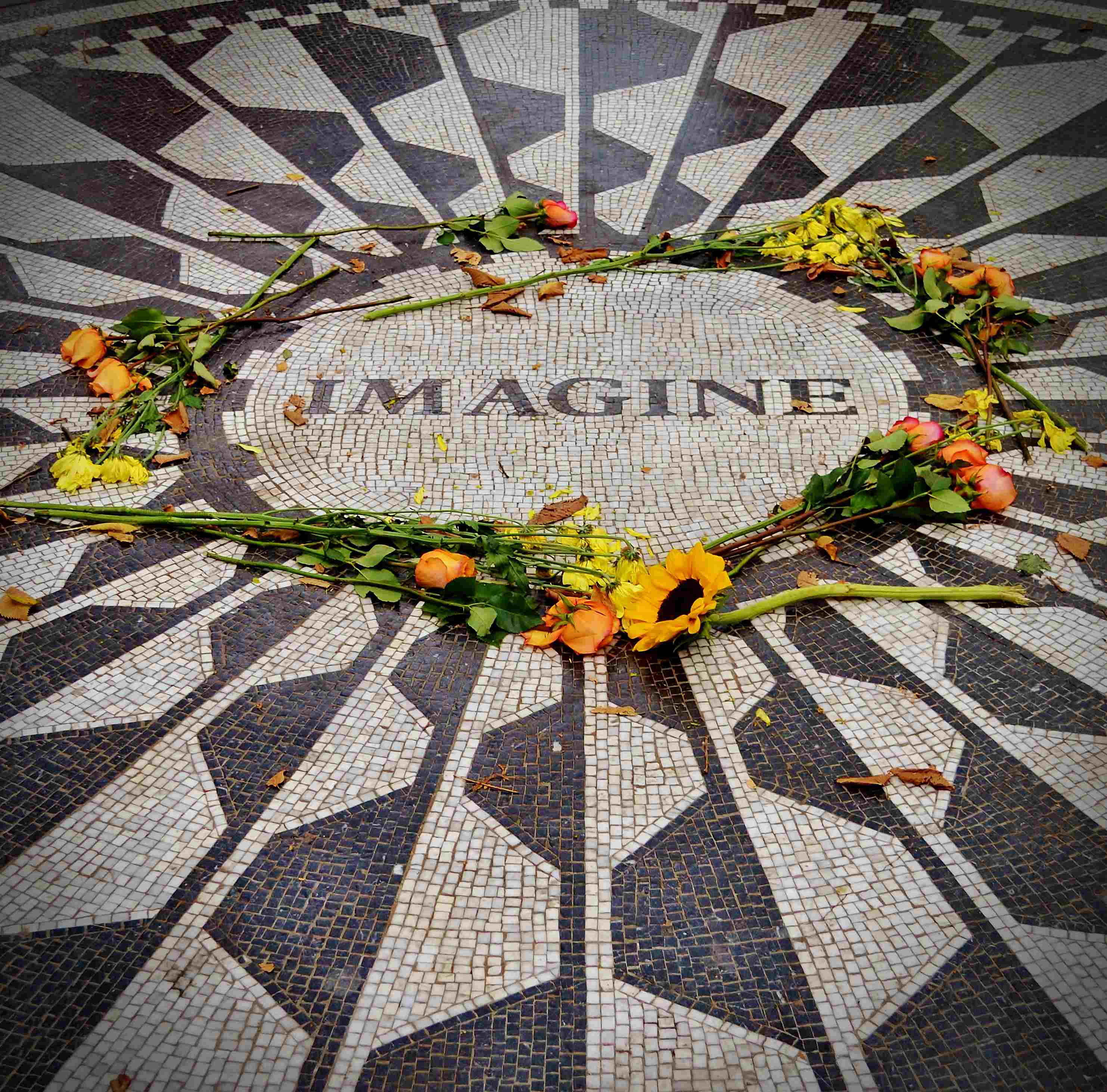 Strawberry Fields