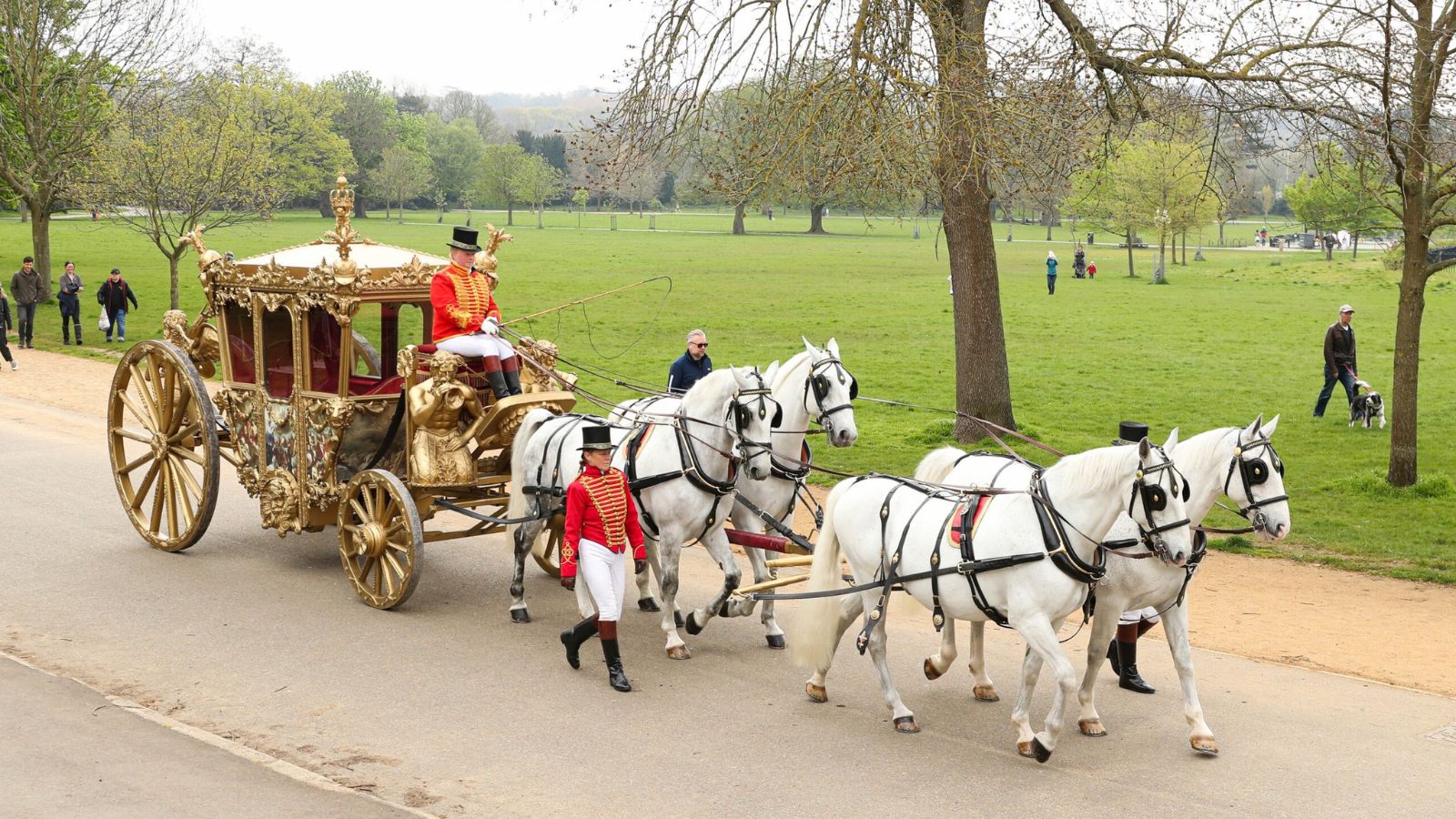Buggy Ride in Central Park