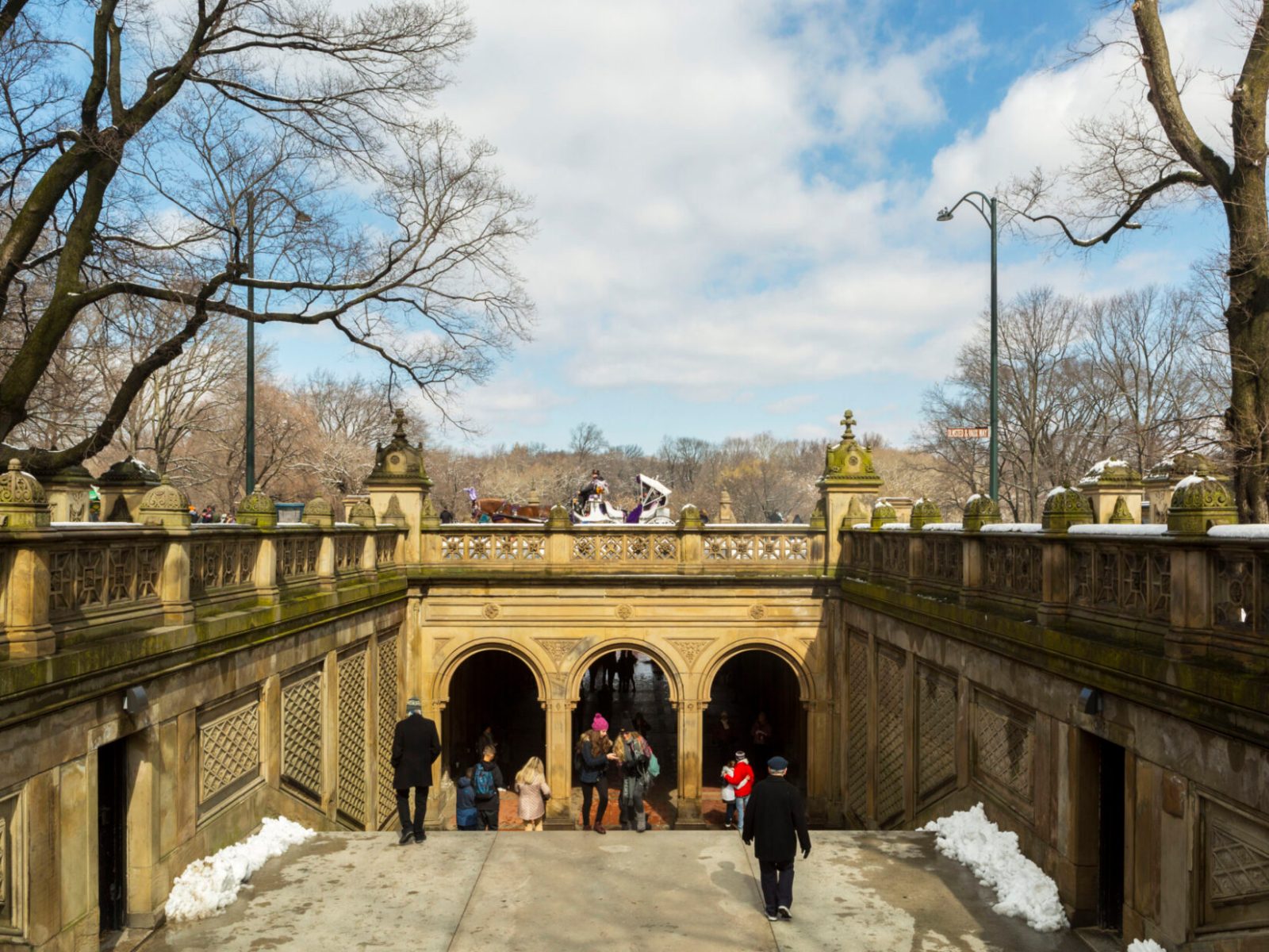 Sleigh Ride in Central Park