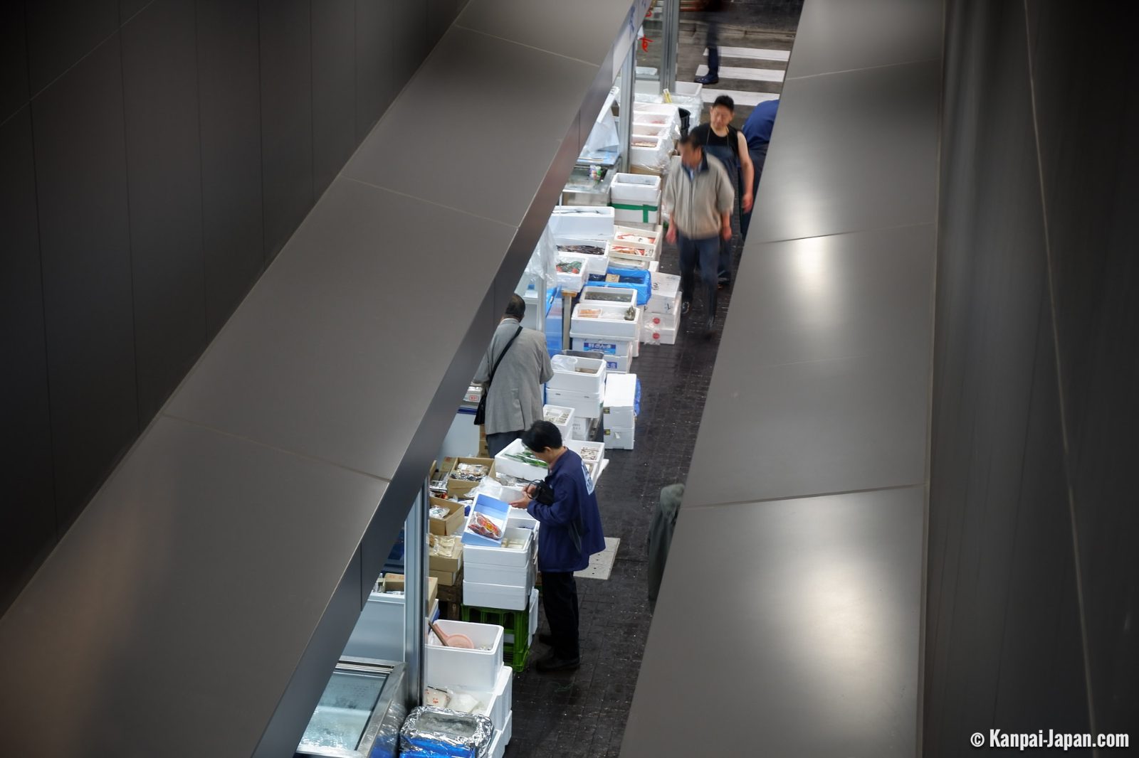 Fisheries Wholesale Market Building Observation Corridor