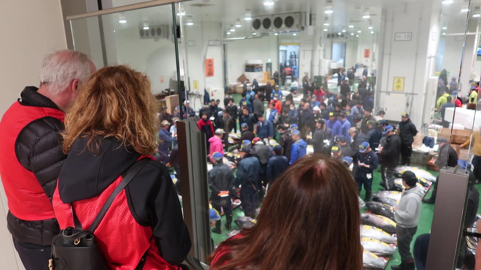 Toyosu Fish Market Private Tour