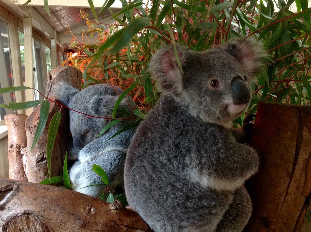 Caversham Wildlife Park