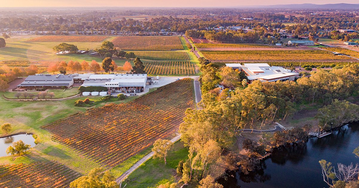 River cruise and first tasting