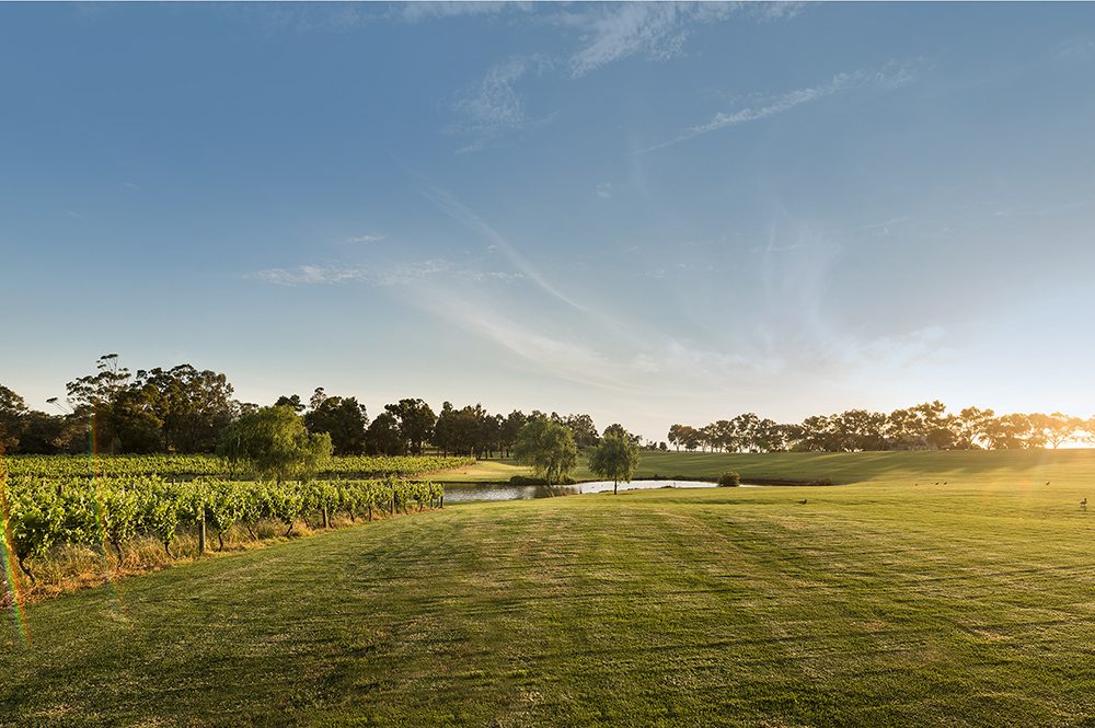 Sandalford Wines River Frontage