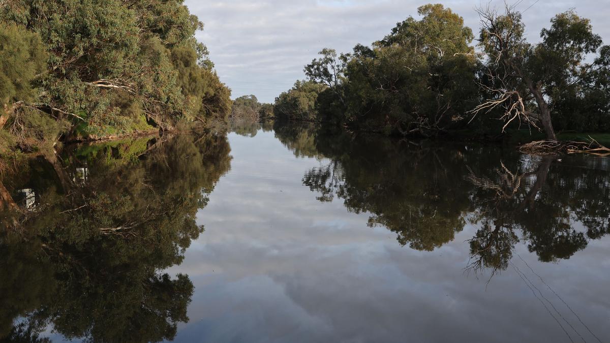 Upper Swan River Bend near Caversham