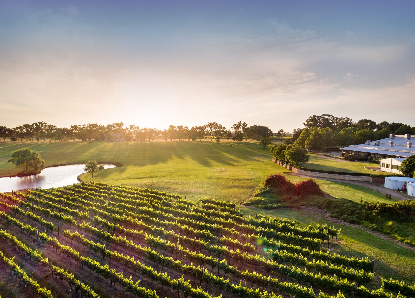 Sandalford Wines
