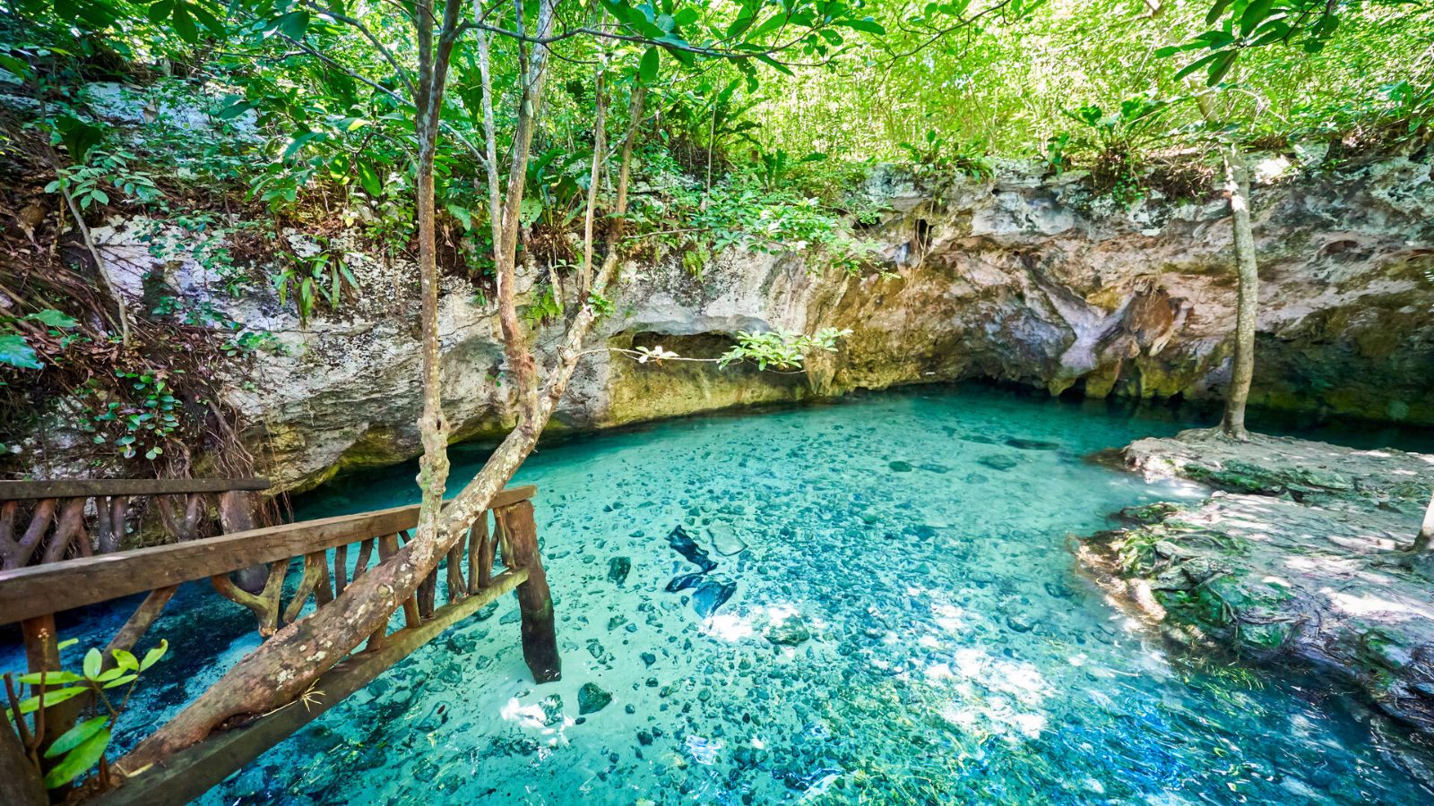 Gran Cenote