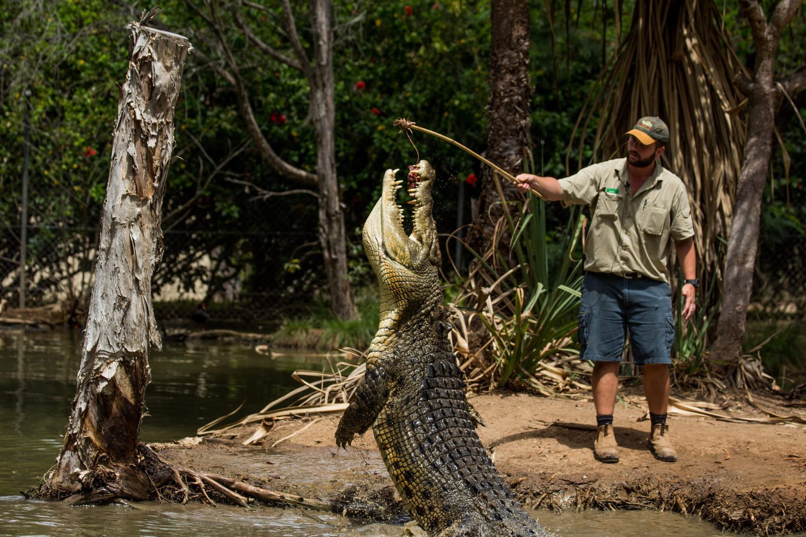 Billabong Sanctuary
