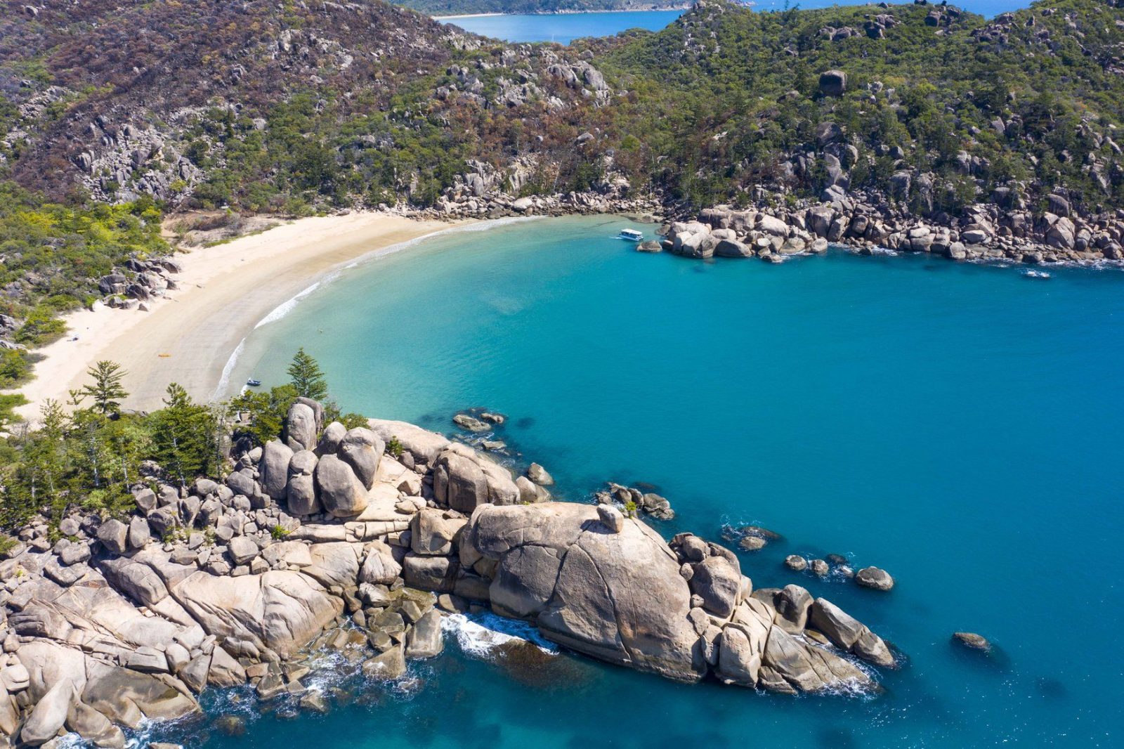 Radical Bay