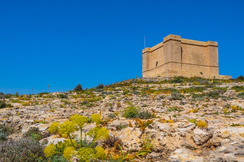 St. Mary's Tower