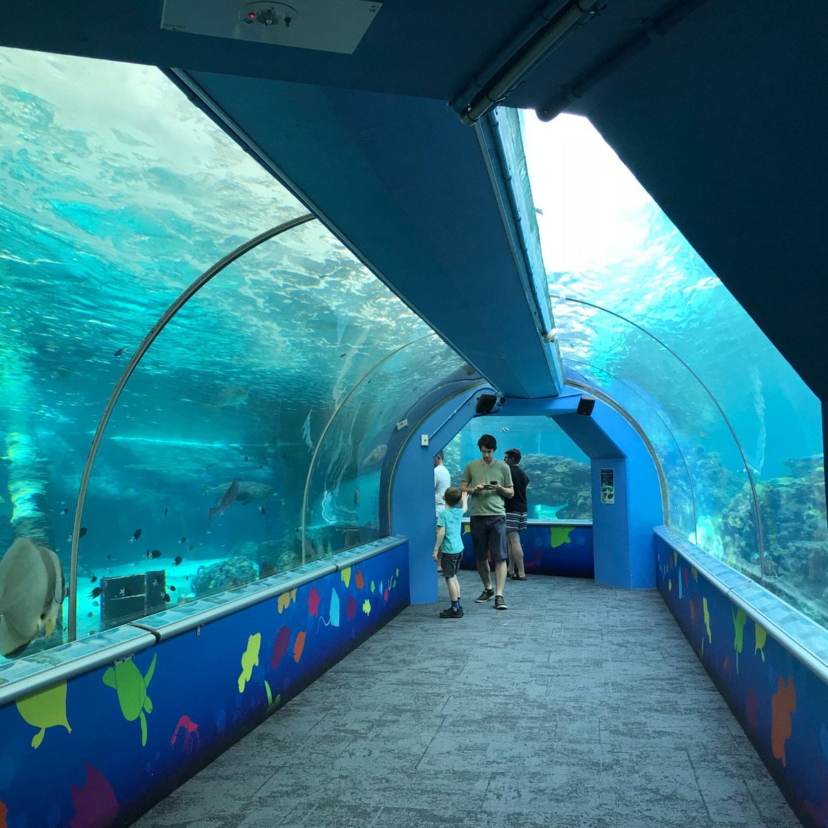 Reef HQ Aquarium