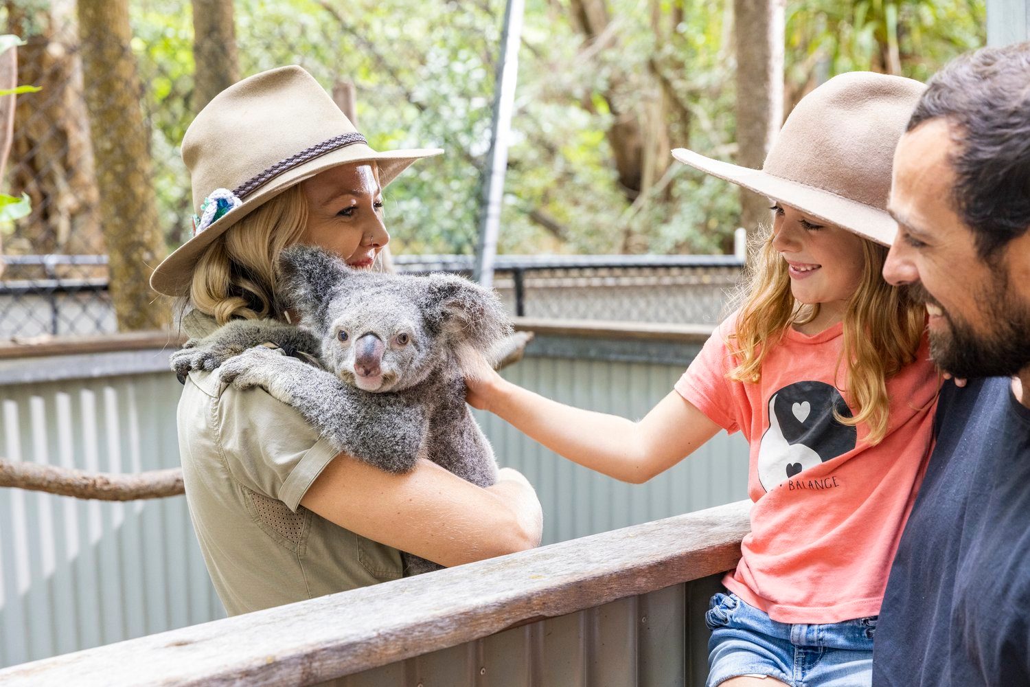 Bungalow Bay Koala Village