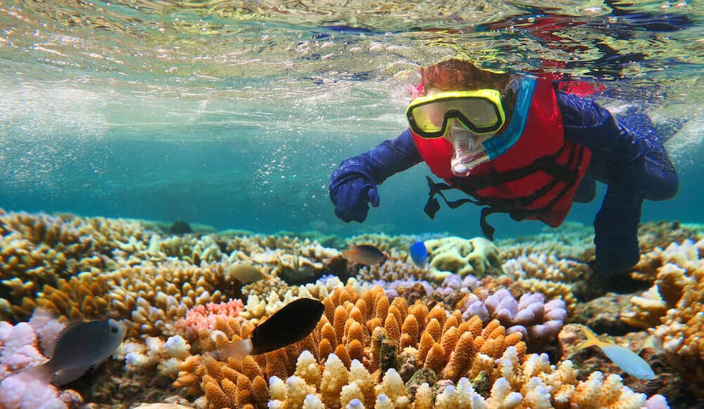 Magnetic Island Tours From Townsville