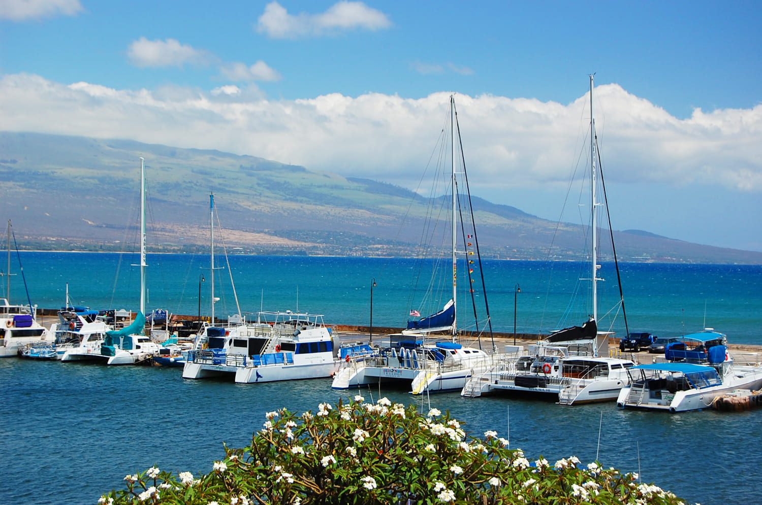 Ma'alaea Harbor Departure