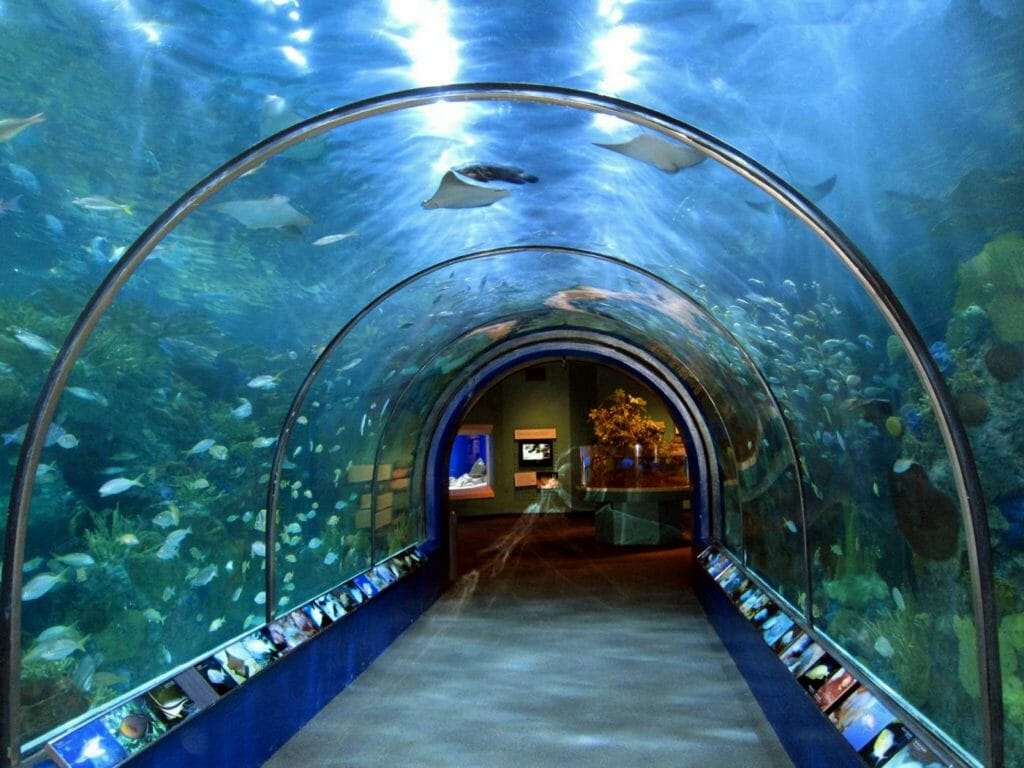 Maui Ocean Center