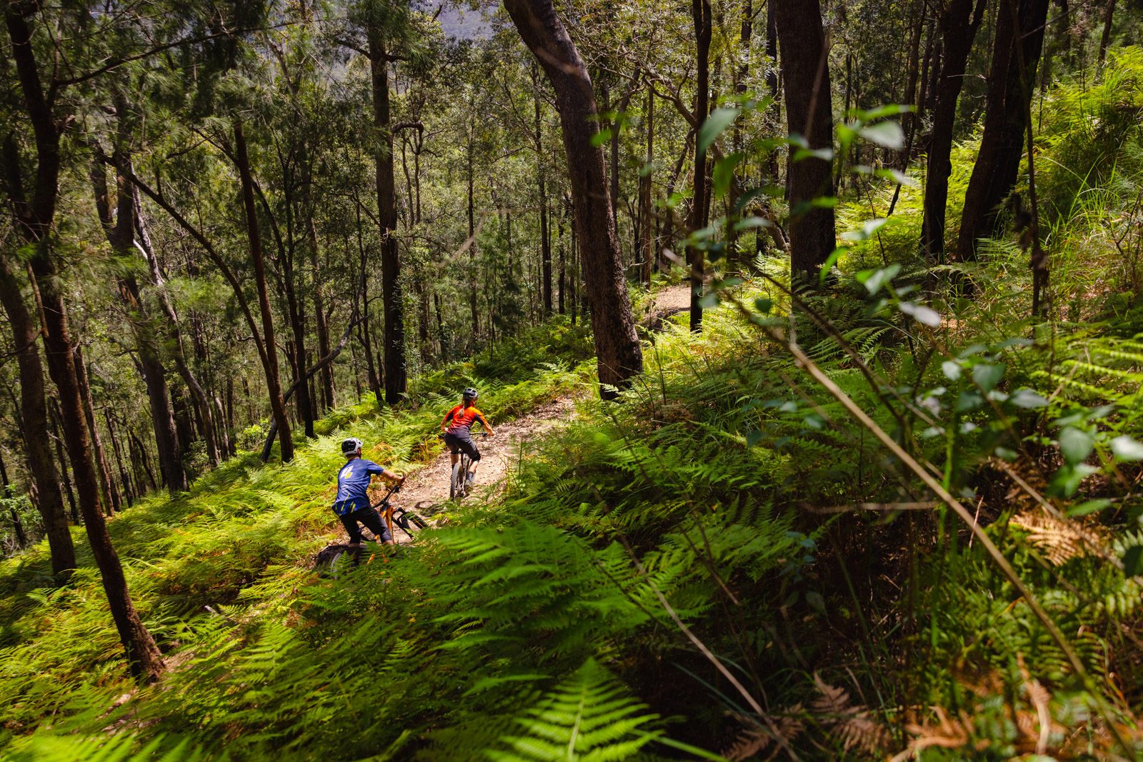 Atherton Forest Mountain Bike Park