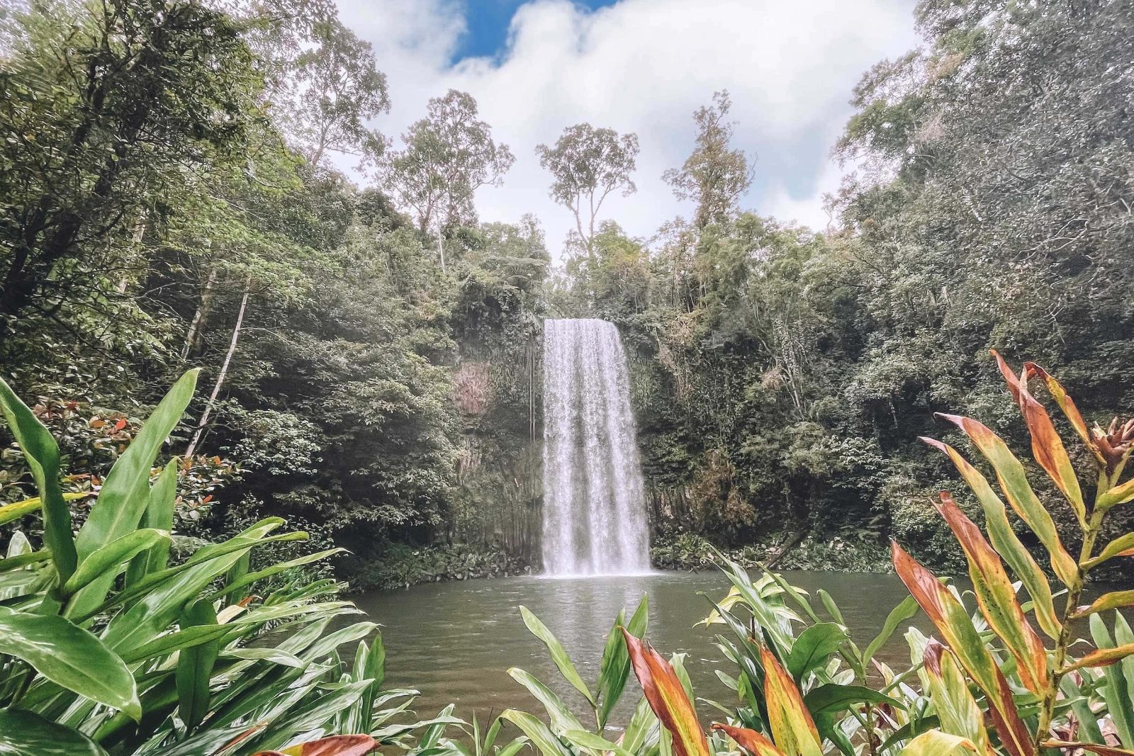 Millaa Millaa Falls