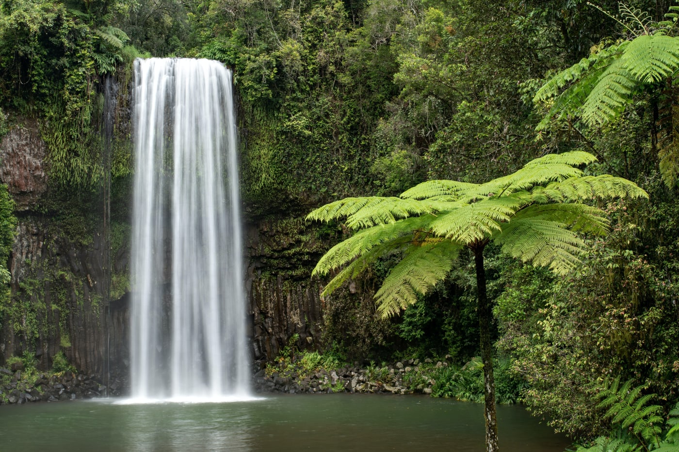 Atherton Tablelands Wasserfall-Tour — Geführte Rundwege & Selbstfahrer-Routen