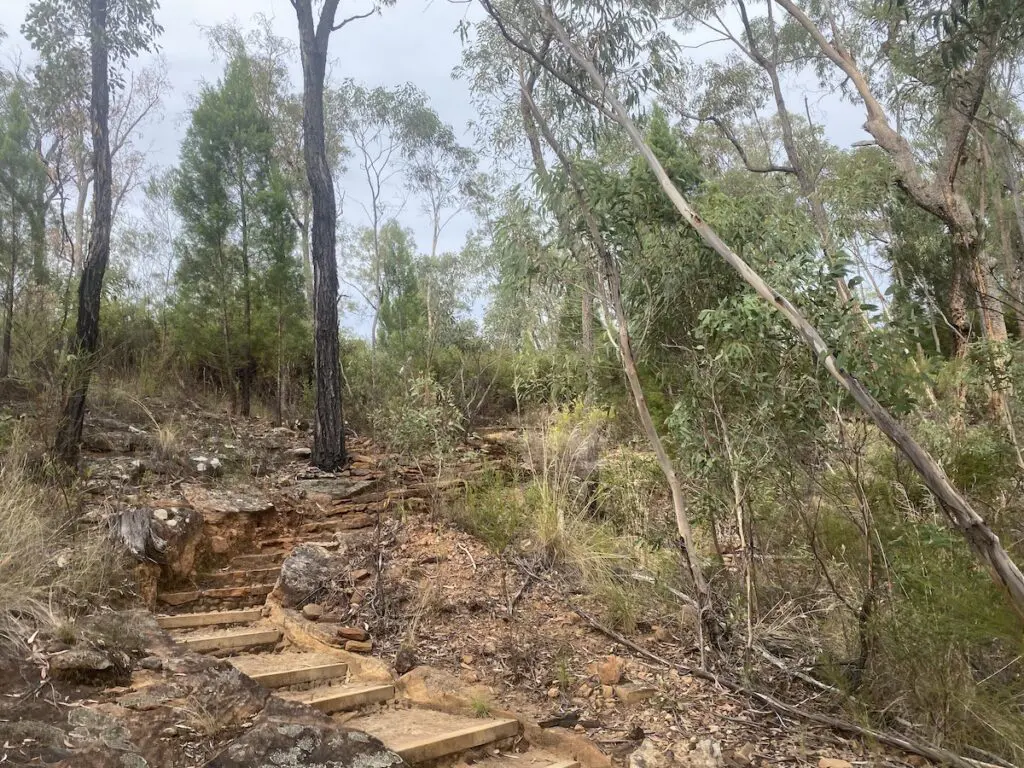 Passerelle de Tolga Scrub