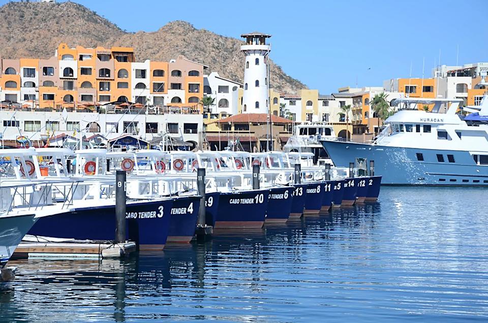 Cruise Tender Docks