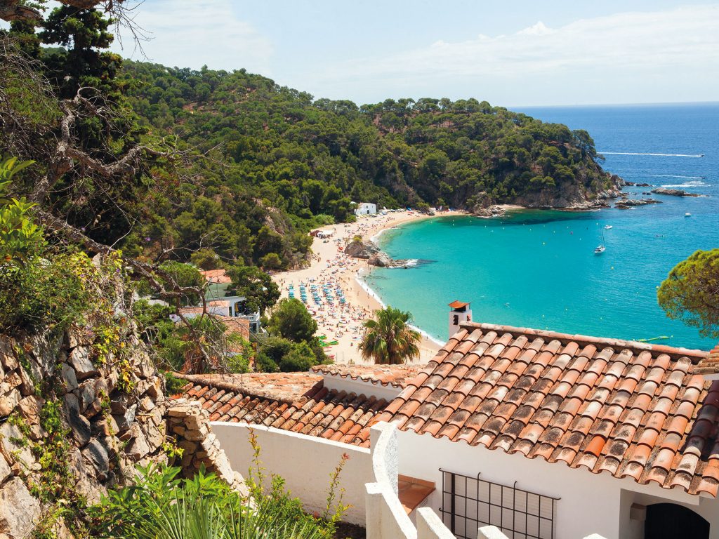 Cala Canyelles Beach Shoreline