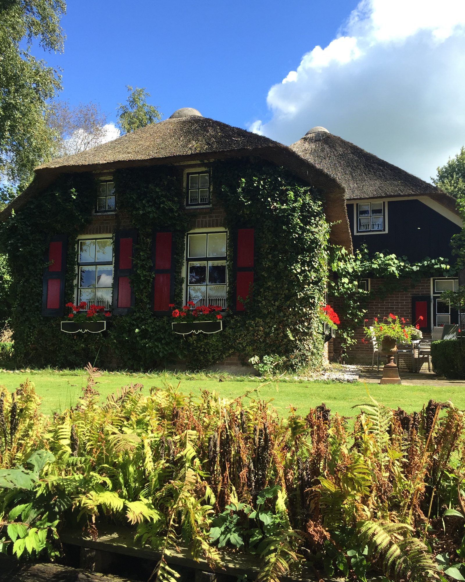 Thatched Roof Cottages