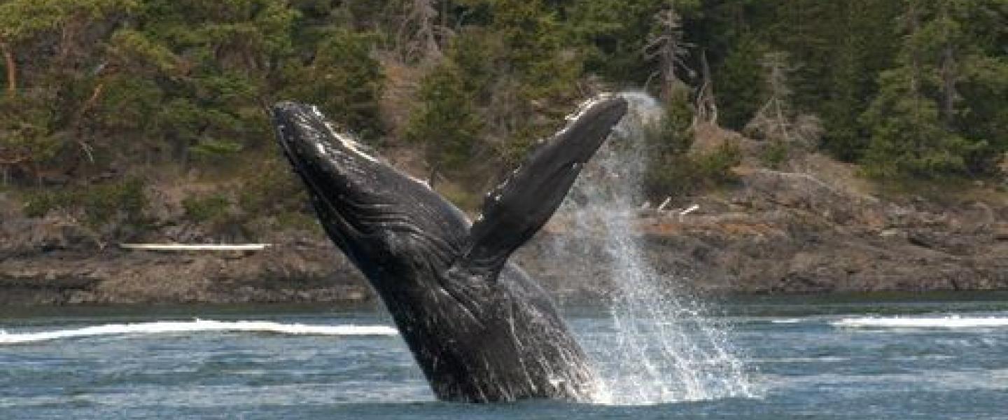 Strait of Georgia