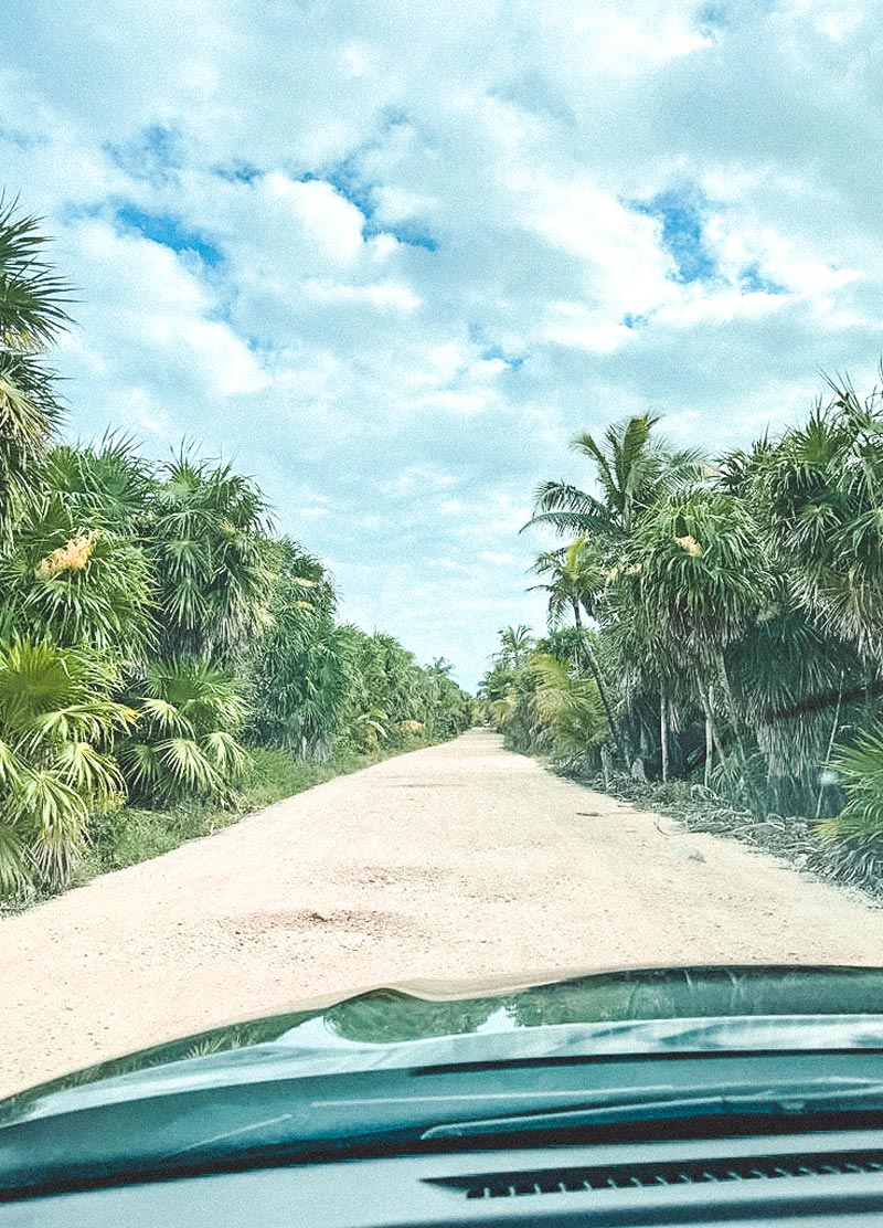Tulum Hotel Zone Roadside