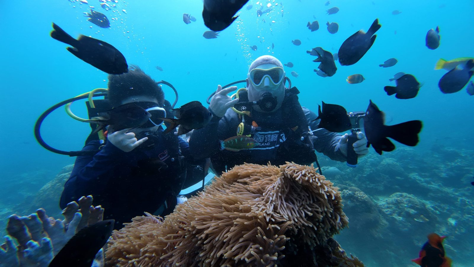 Coral Garden Snorkel View