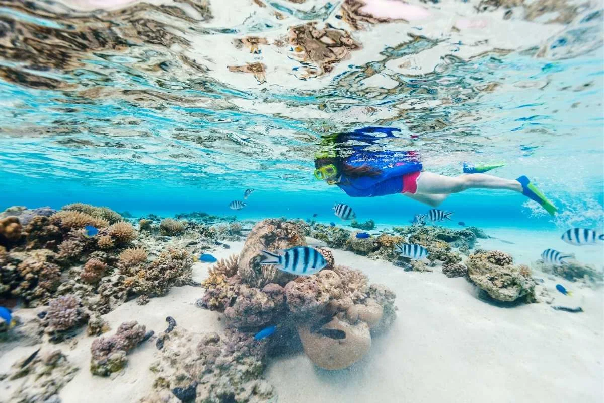 Boracay Snorkeling Tour