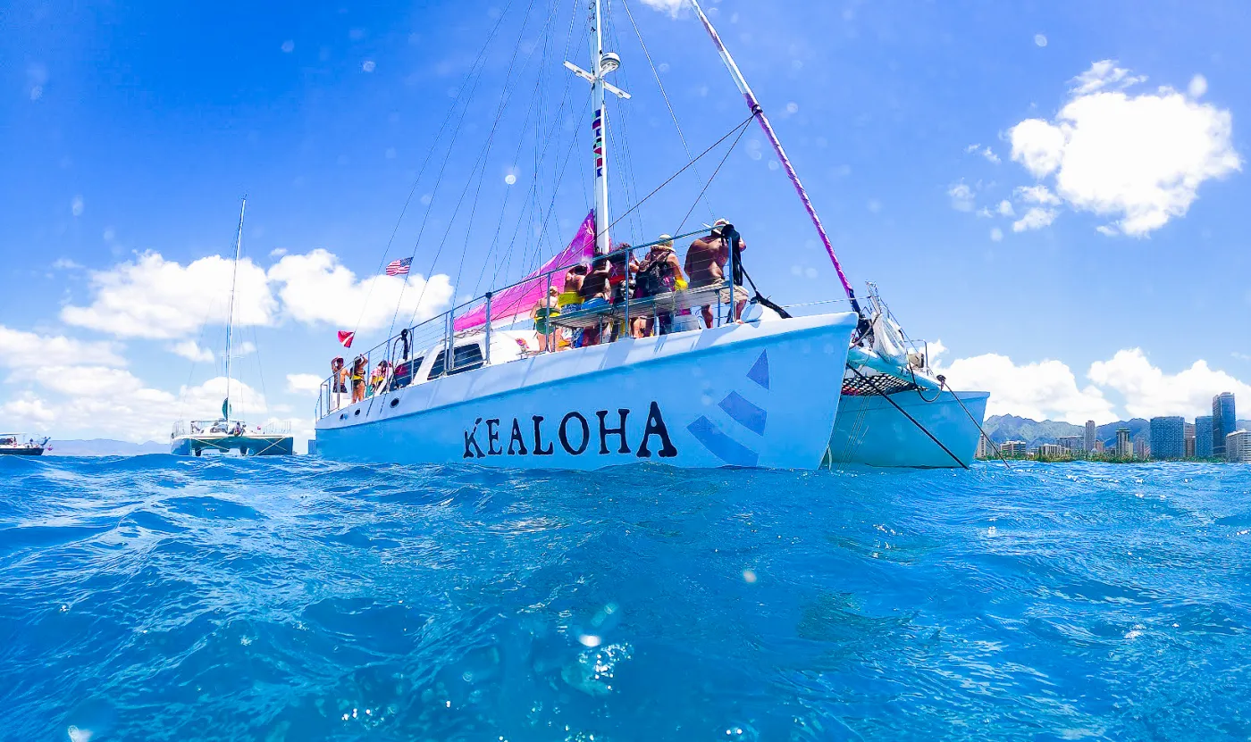 Waikiki Catamaran Bow