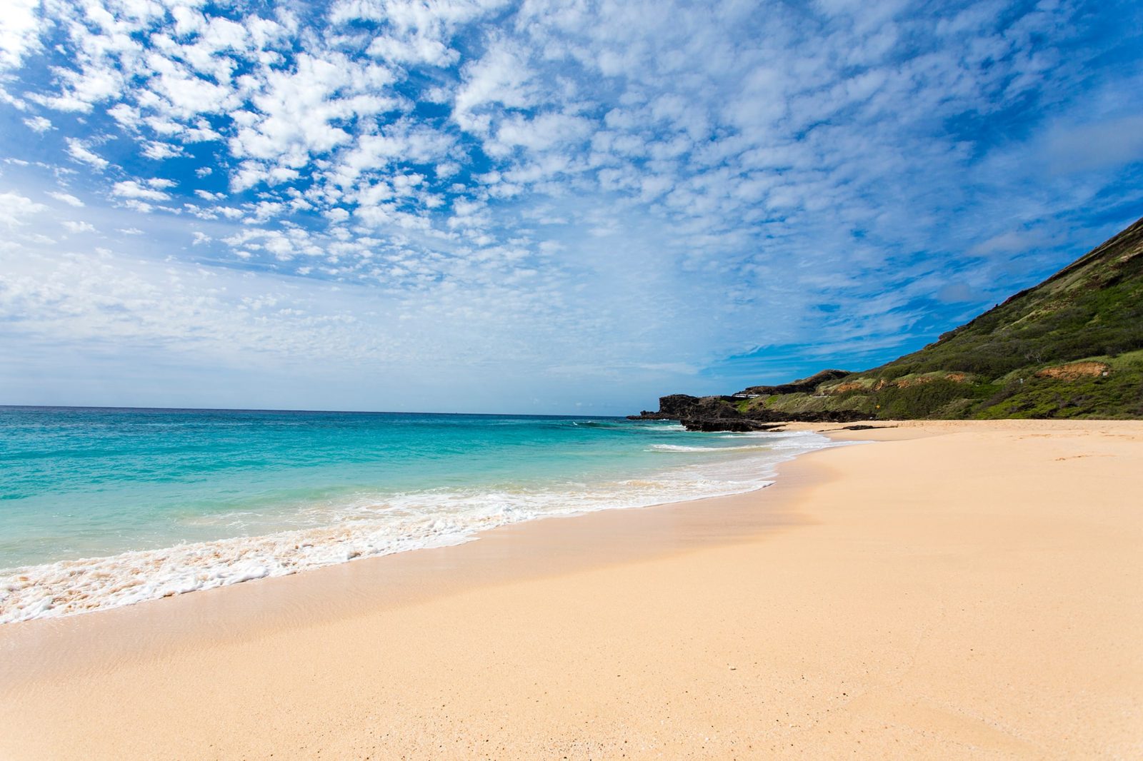 Sandy Beach Shoreline