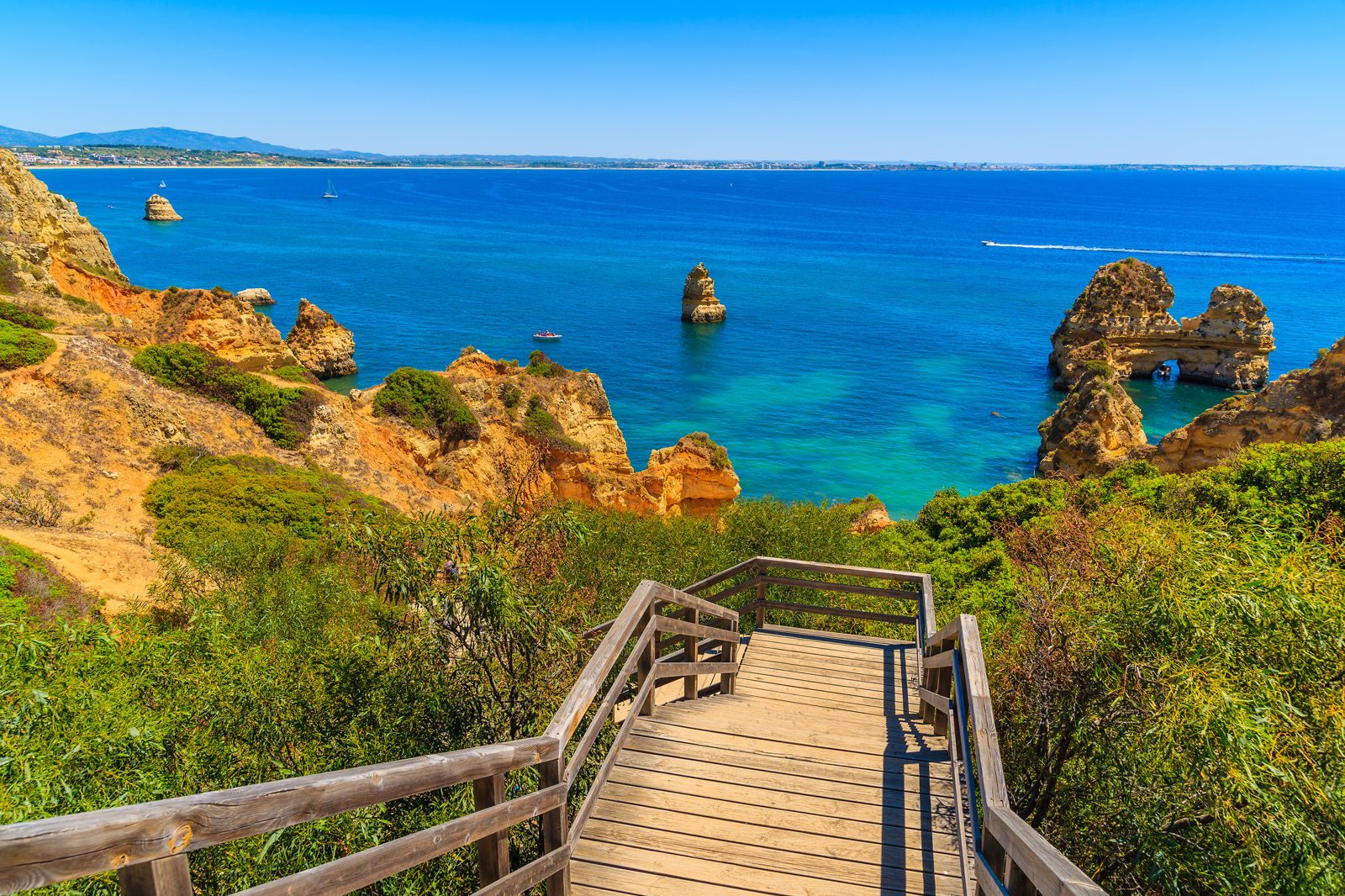Dusty Pine Track