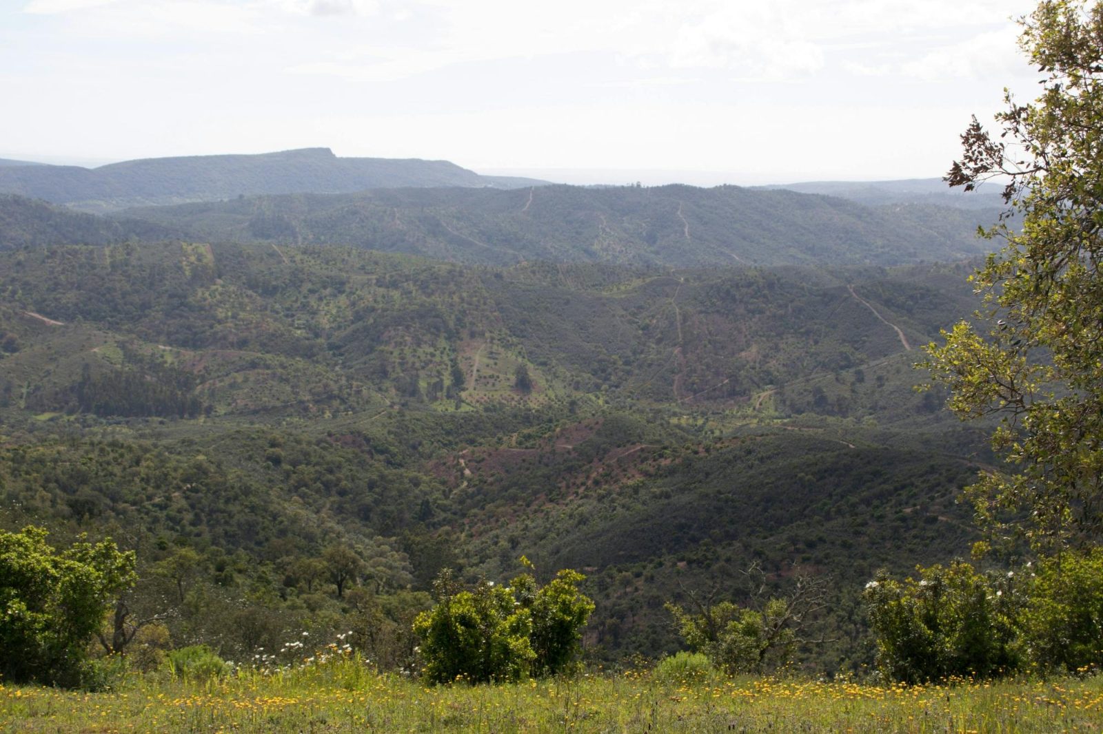 Algarve Hillside Lookout