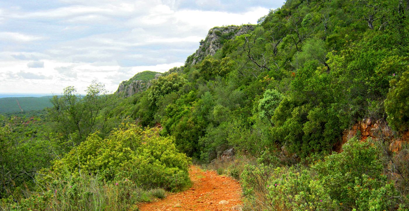Red Dirt Valley Tracks
