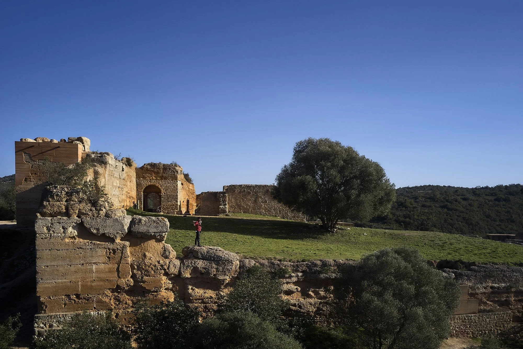 Paderne Castle Ruins